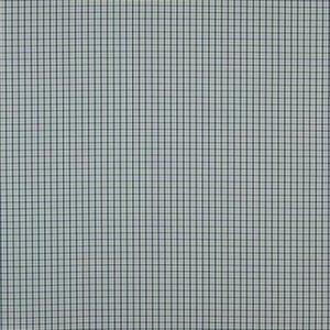 JANE CHURCHILL CAMPION CHECK FABRIC